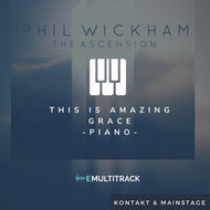 THIS IS AMAZING GRACE - PHIL WICKHAM - PATCH